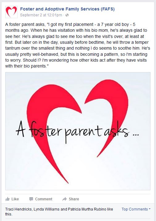 A Foster Parent Asks