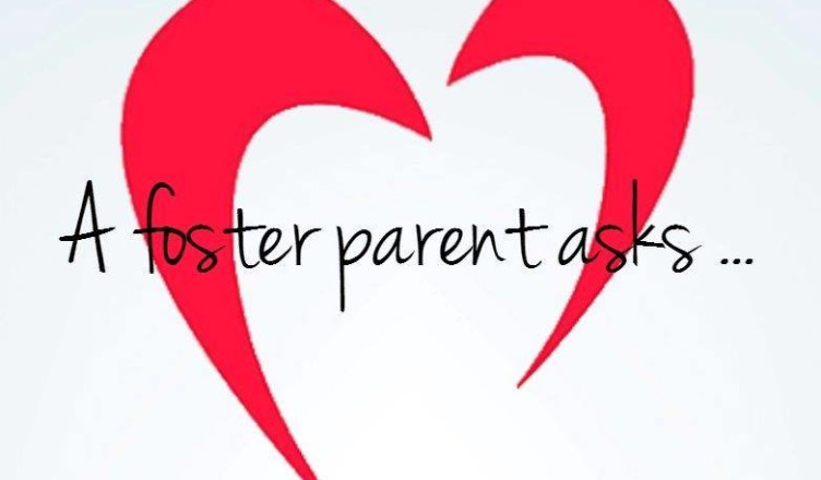 A Foster Parent Asks