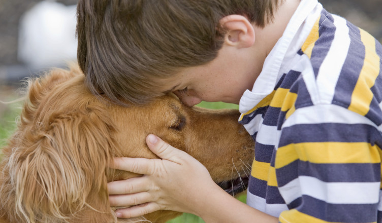 Foster children and pets